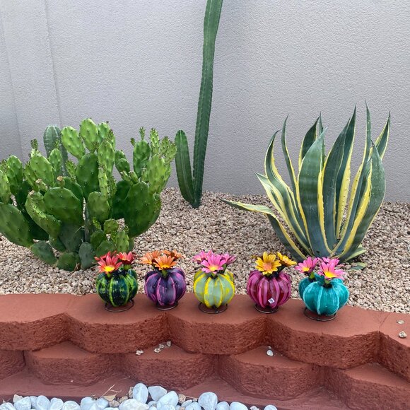 Handpainted Metal Mini Bisnaga Cactus Yard Art Garden Decor - Picture 12 of 14